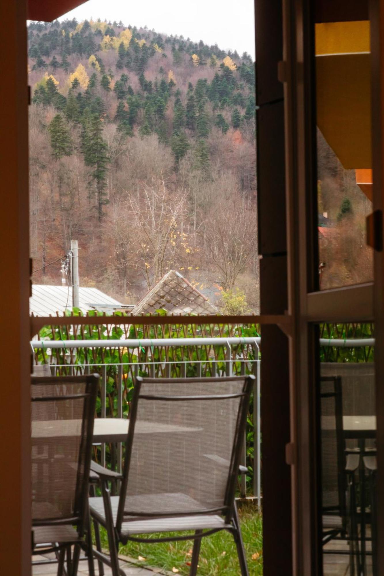 Mountain Retreat Διαμέρισμα Σινάια Εξωτερικό φωτογραφία